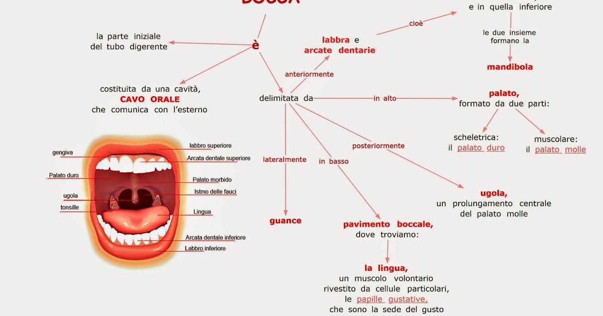 Paradiso delle mappe La bocca