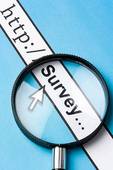 Paid Web Survey Services