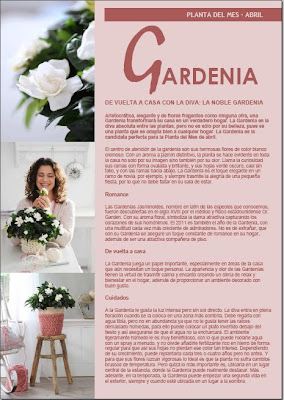 Gardenia