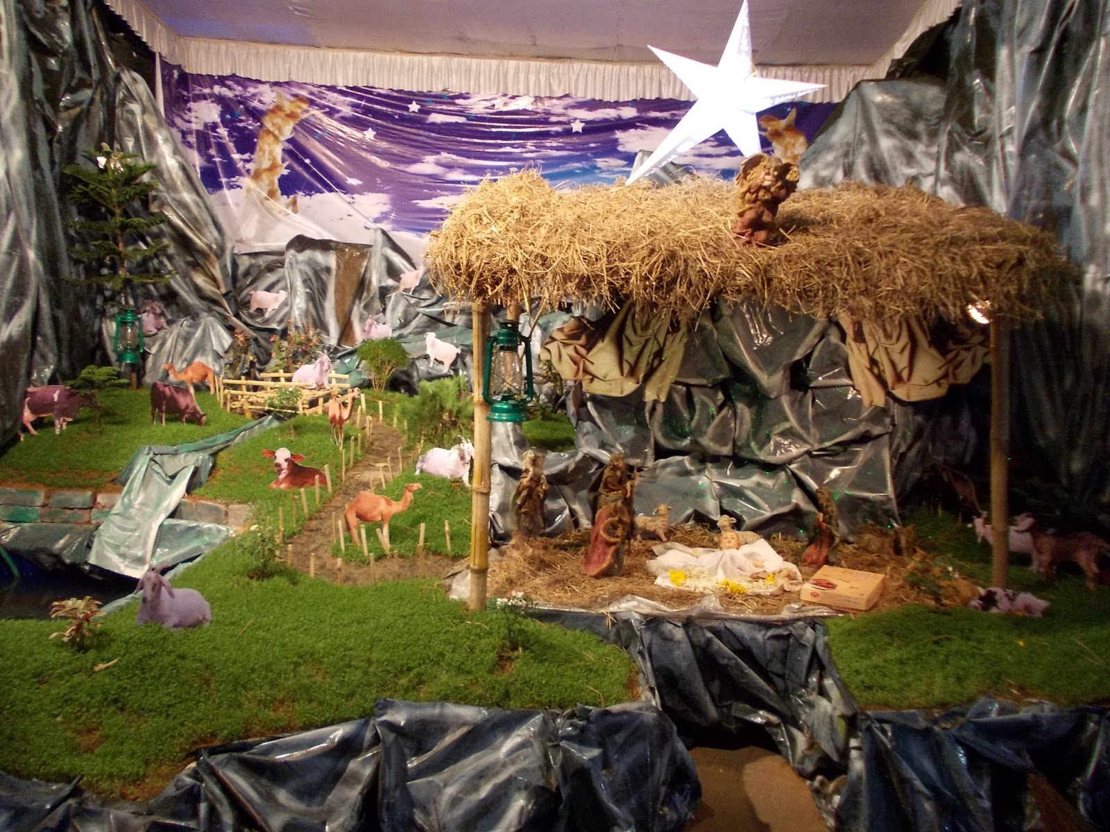 Things I'd like to share with you.. Christmas Cribs...