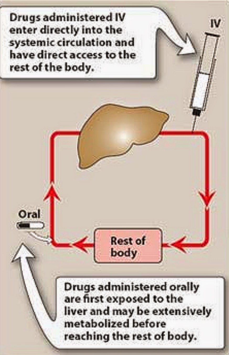 Pharmacological Blog Routes of Drug Administration