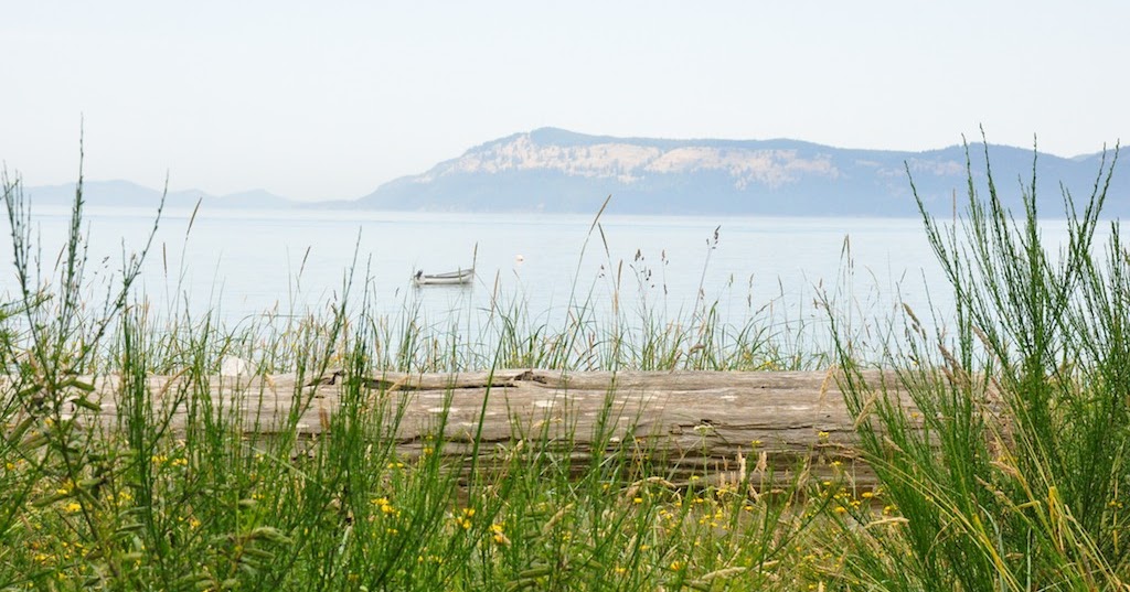 Orca Watcher Waldron Island A Different Kind of Life
