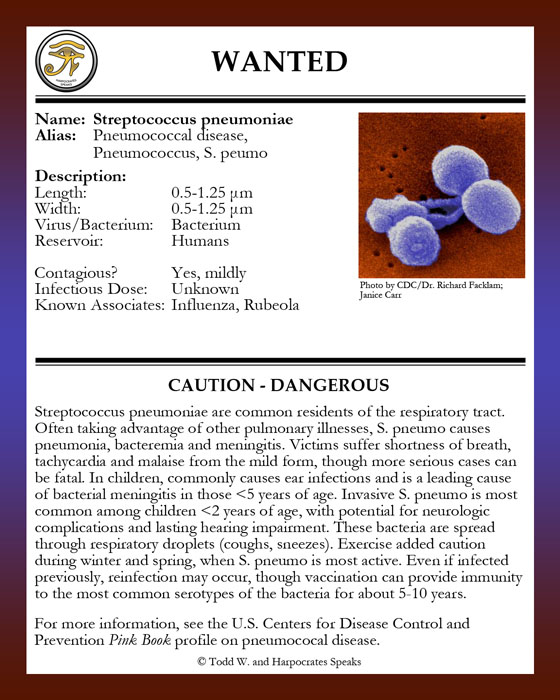 Harpocrates Speaks Wanted Streptococcus pneumoniae
