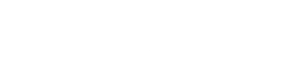 cool blog
