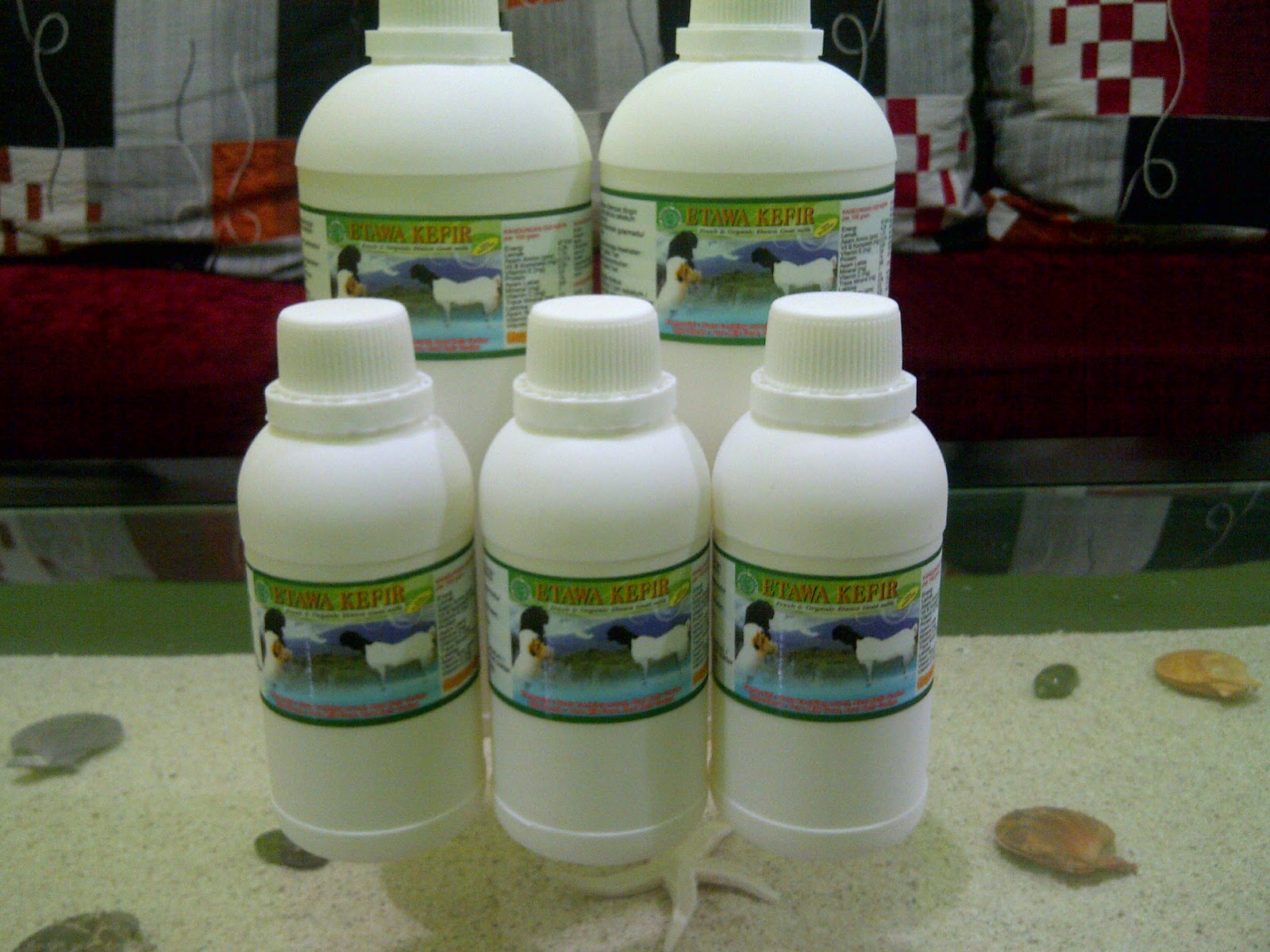 kambing dan kefir etawa bekasi jual kefir kambing dan kefir etawa bekasi jual kefir