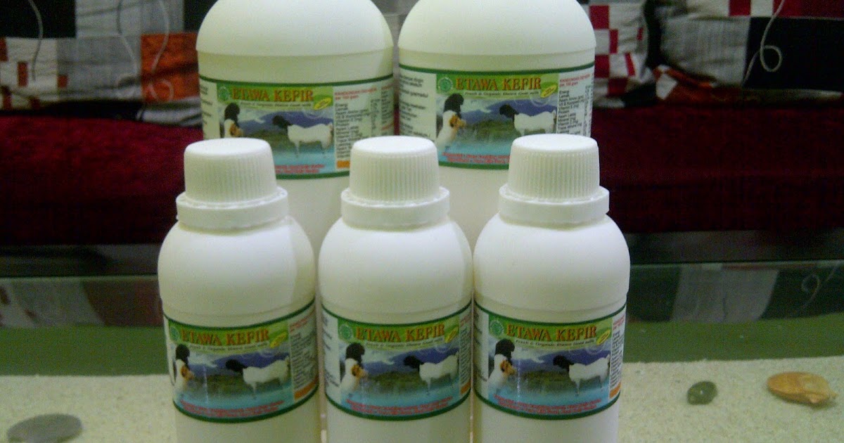 kambing etawa dan kefir etawa bandung jual kefir kambing di bandung kambing etawa dan kefir etawa bandung jual kefir kambing di bandung