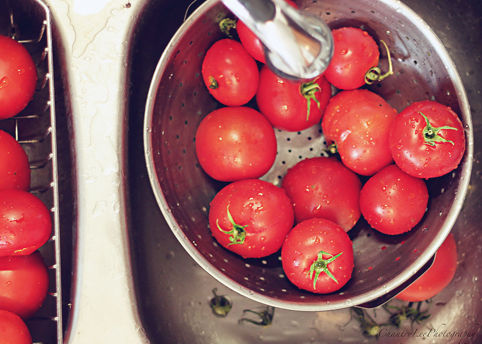 Chantry Lee Photography Canned Tomatoes and Jalapeños