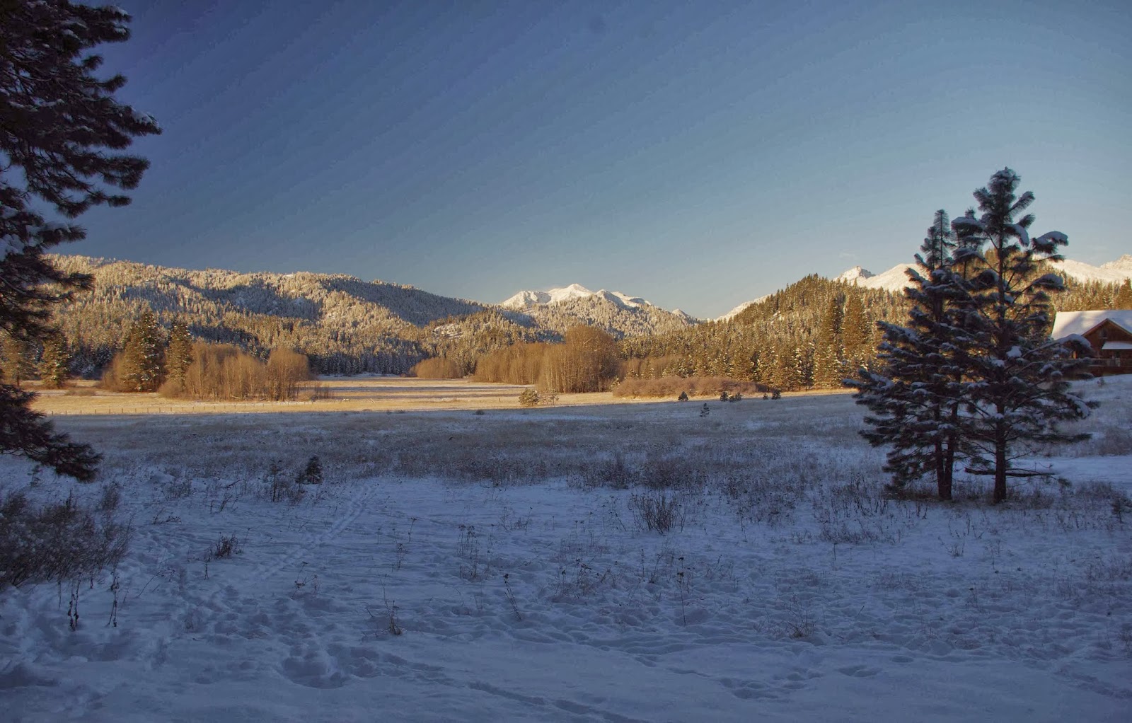 Camas Meadows First Snow Plowing of the Season!!
