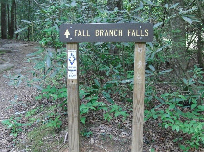 The Days of Johann, an agility dog! Hiking the Benton MacKaye and