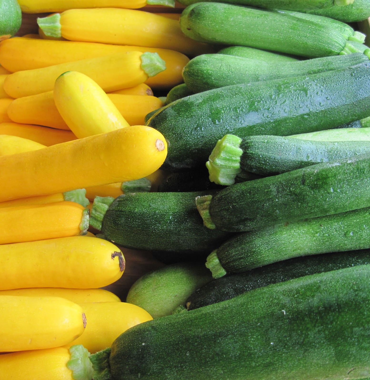 Jared Unzipped What's The Difference Between Zucchini and Squash?