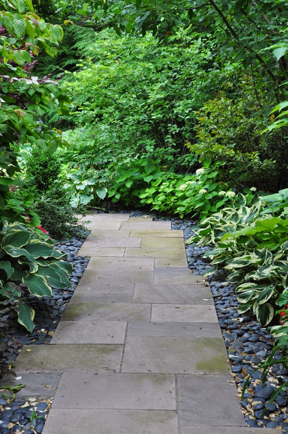 Three Dogs in a Garden: More Ideas for the Narrow Space Between