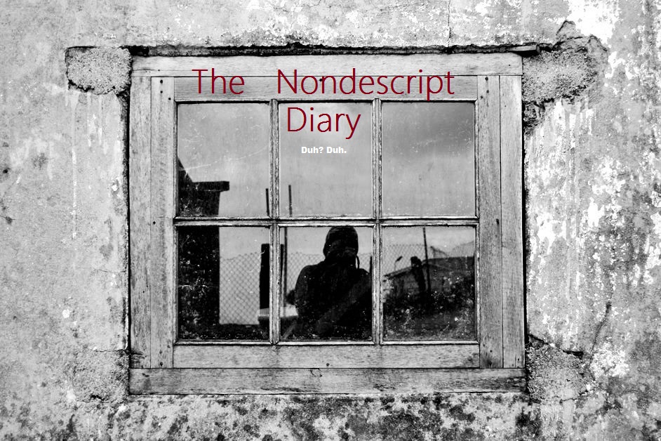 The Nondescript Diary