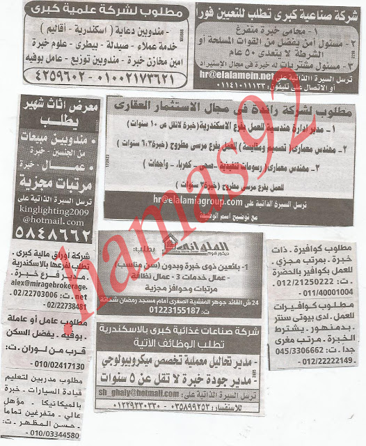وظائف خالية من جريدة الوسيط الاسكندرية الاثنين 7/1/2013  %D9%88+%D8%B3+%D8%B3+10