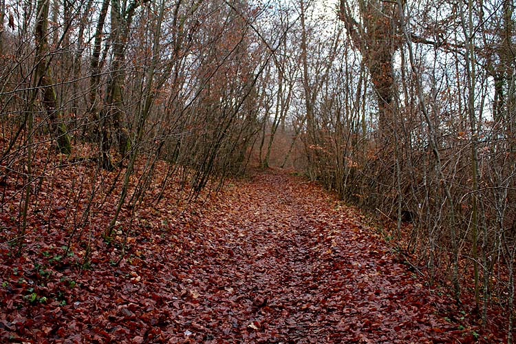 rencontre plateau de malzeville