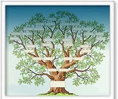 Nuestra Clase: Mi árbol de familia en español (Family Tree)