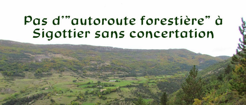Pas d'autoroute forestière à Sigottier sans concertation