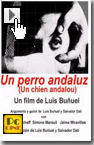 un perro andaluz