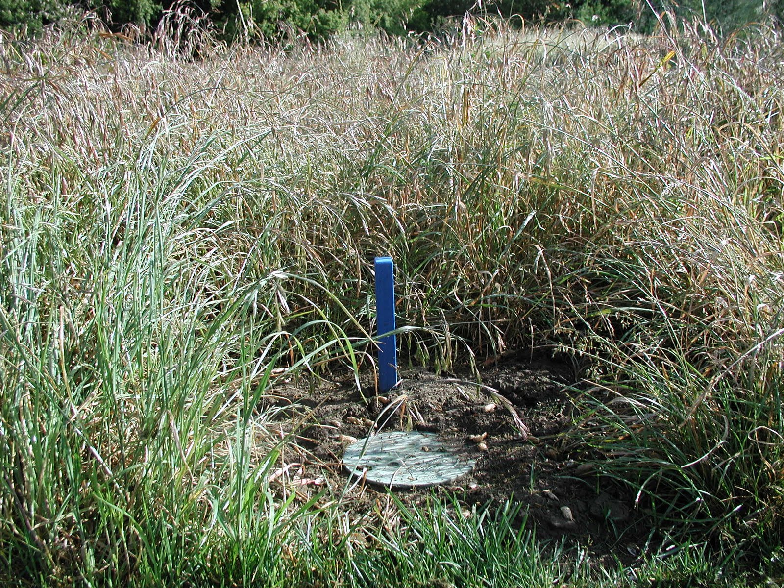 Stanford Golf Course Superintendent's Blog Blue Stakes = Irrigation