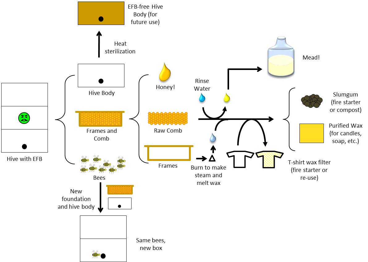 The Homestead Laboratory Bee Reset Wax Rendering v2.0 (and 3.0)
