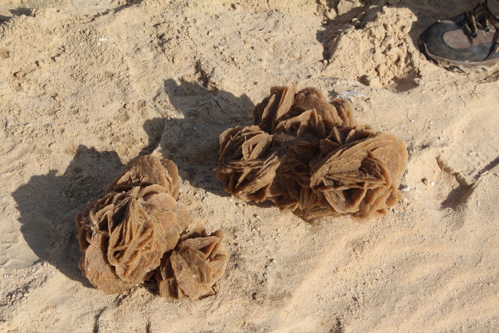 Saudi Scenes Sand Roses