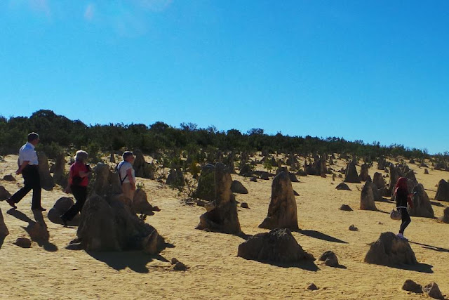 Fenomena Ribuan Pilar Karang di Pinnacles Desert, Australia