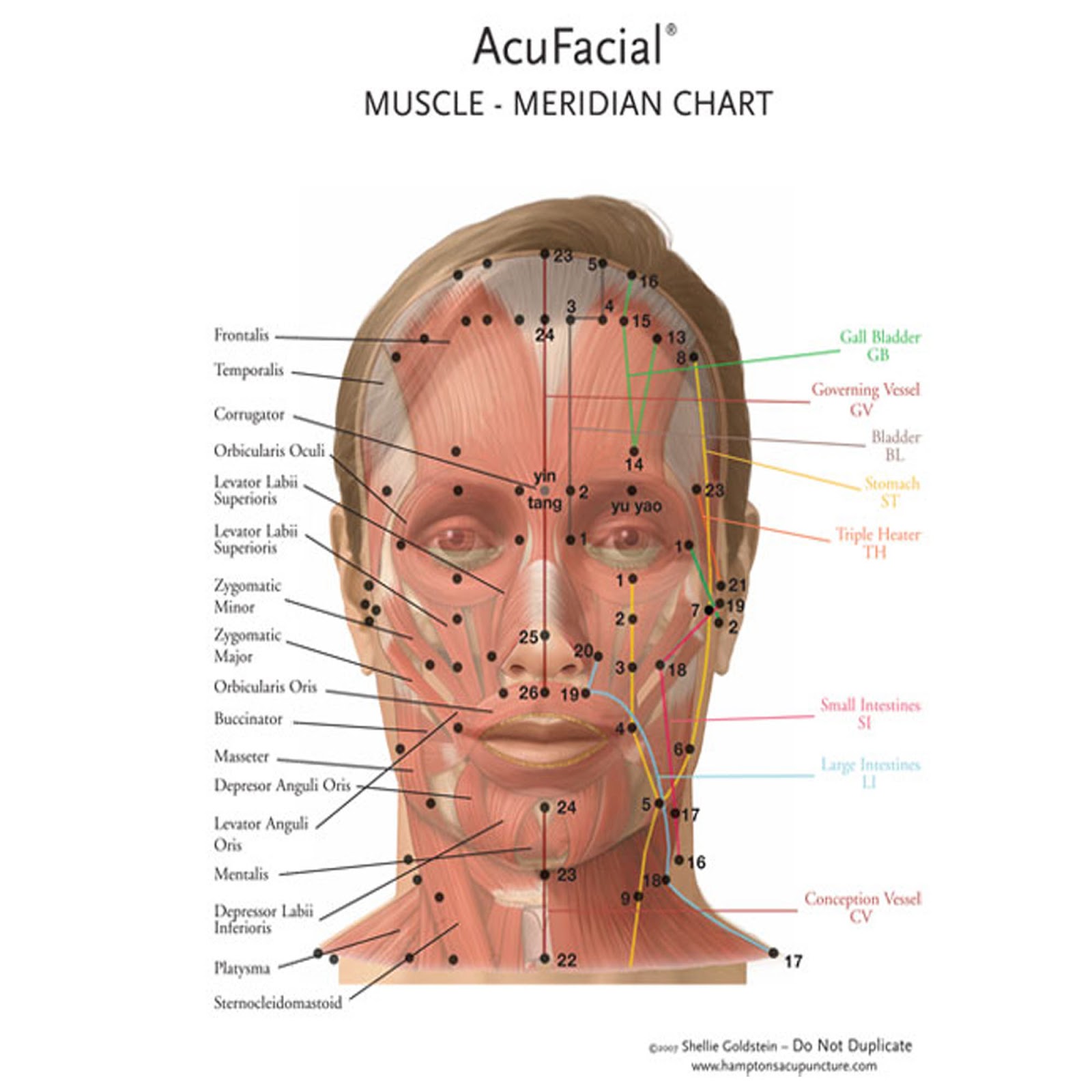 Acupressure Face Chart