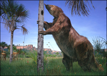Mamut