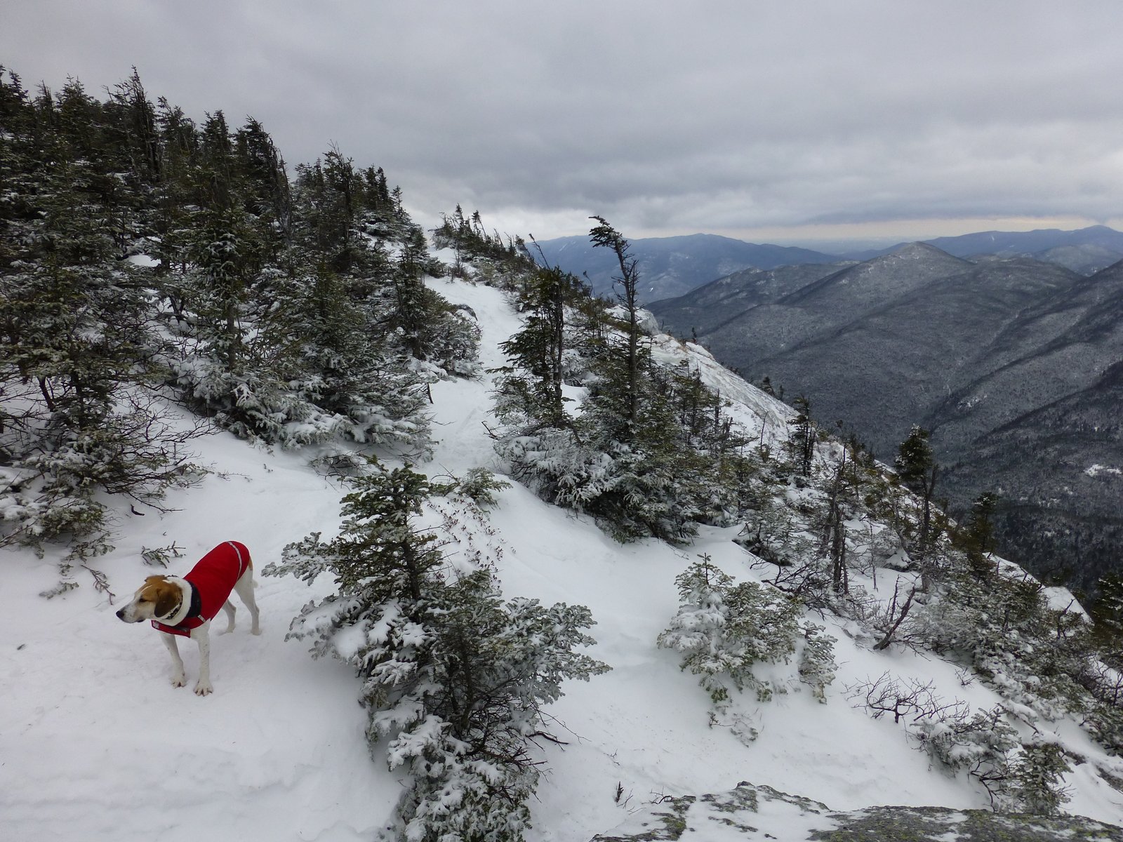 Off on Adventure Mount Colden High Peaks Wilderness 1/19/13