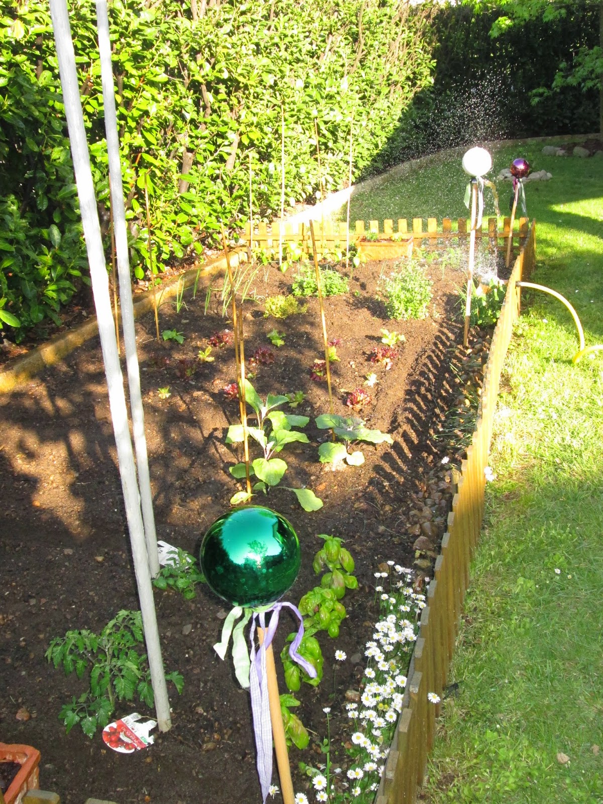 Carmen country.... colorare creare cucire: orto & giardino!!!