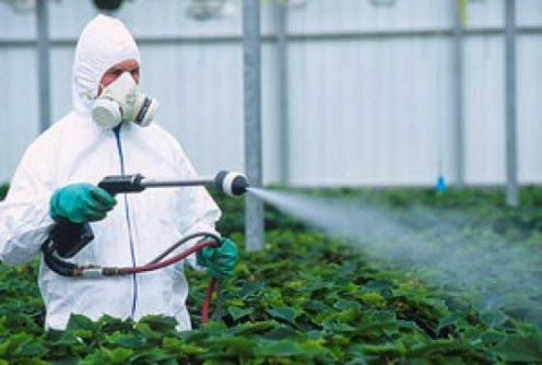 6 Fatos que nos Escondem sobre os Pesticidas