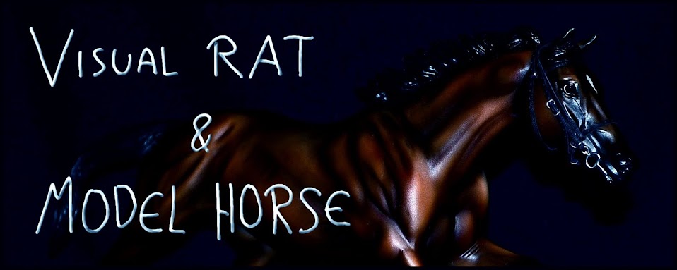 Visual Rat & Model Horse