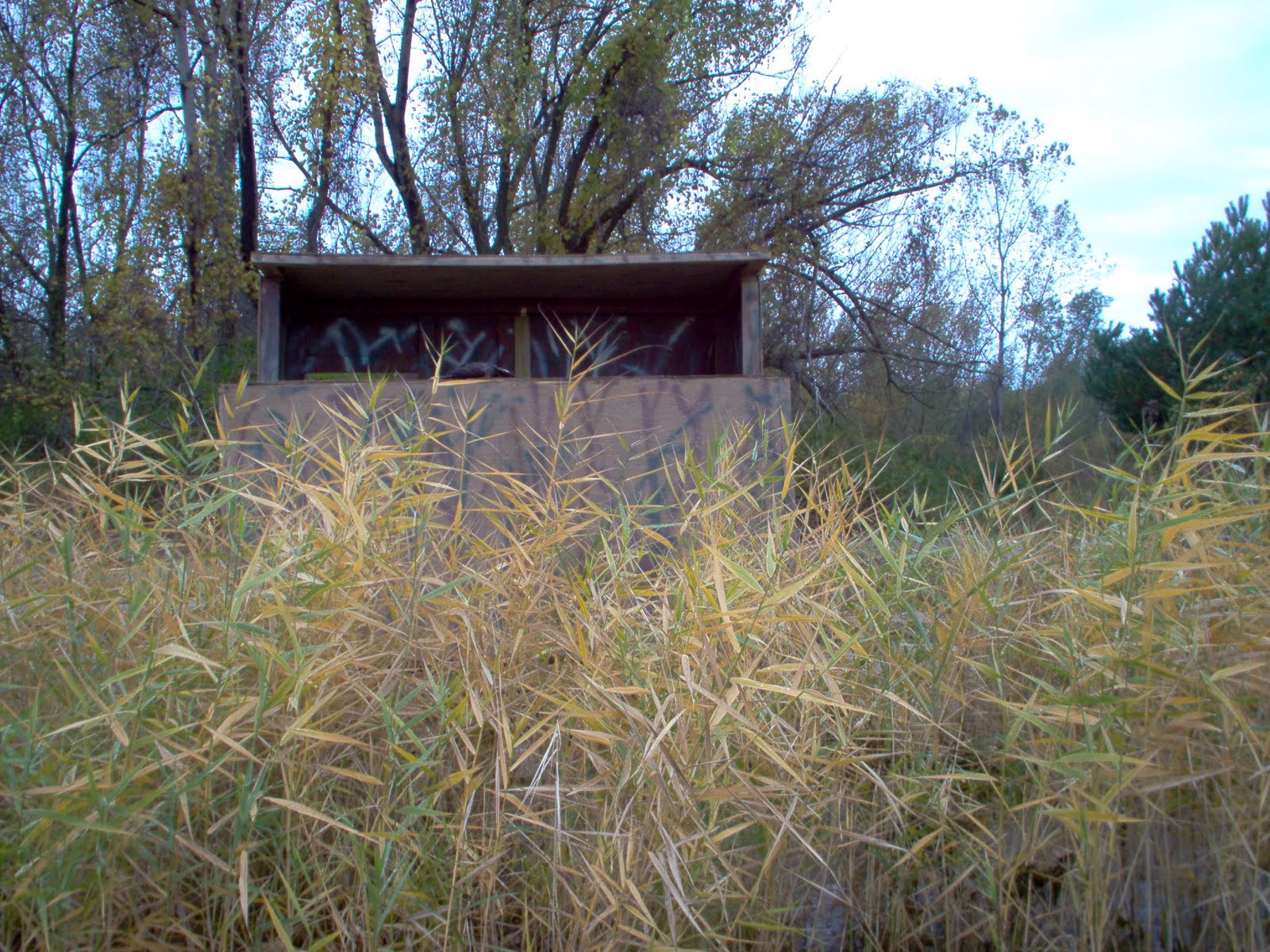 robfisherie: Quality Duck Blind A Must For Duck Hunting