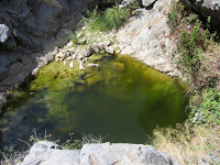 Lower pool at Fish Canyon Falls, Angeles National Forest, August 23, 2015 Lower pool at Fish Canyon Falls, Angeles National Forest, August 23, 2015