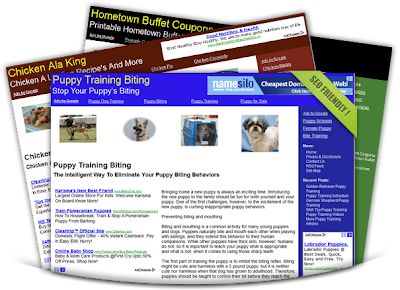 huong dan seo cho site micro niche seo cho micro niche site