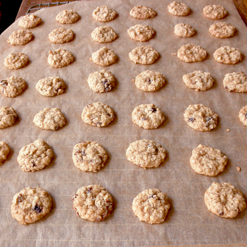 Food Pusher Mini Oatmeal Cookies