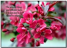 flower quotes Nice flower quotes