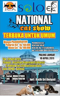 Solo National Cat Show, Surabaya National Catshow, 10 Juli 2011, 24 April 2011, 18 April 2011,Pedigree ICA, non pedigree, kontes kucing,  cat show