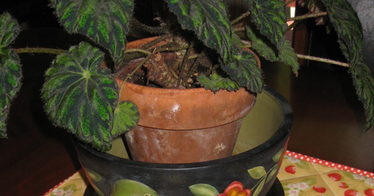 Pieced Brain Stainproof, selfbinding table runner Tutorial