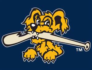 RIverdogs