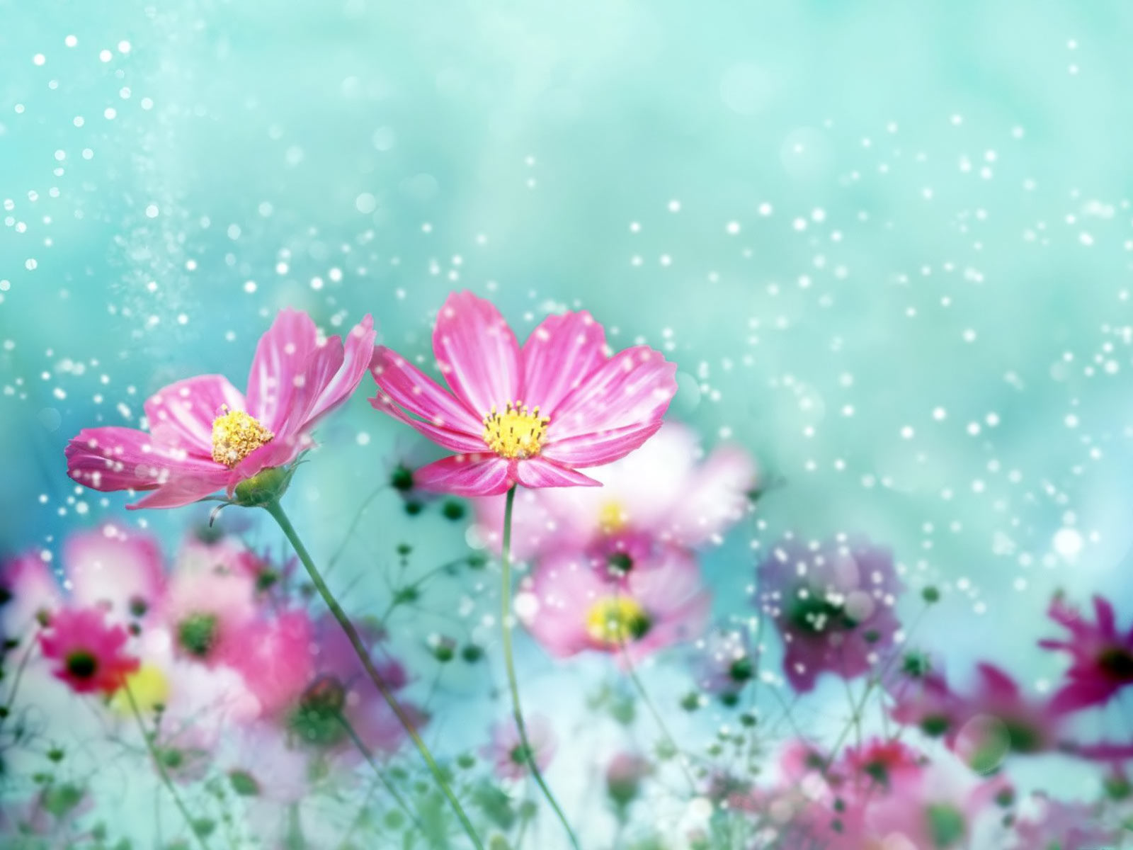 http://4.bp.blogspot.com/-Bjp3KLtB1NM/T61IMHu1KyI/AAAAAAAAGYQ/Z_qXE5tTFbY/s1600/summer+wallpaper+backgrounds+(5).jpg