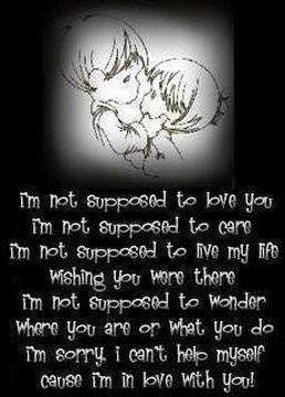 im sorry quotes