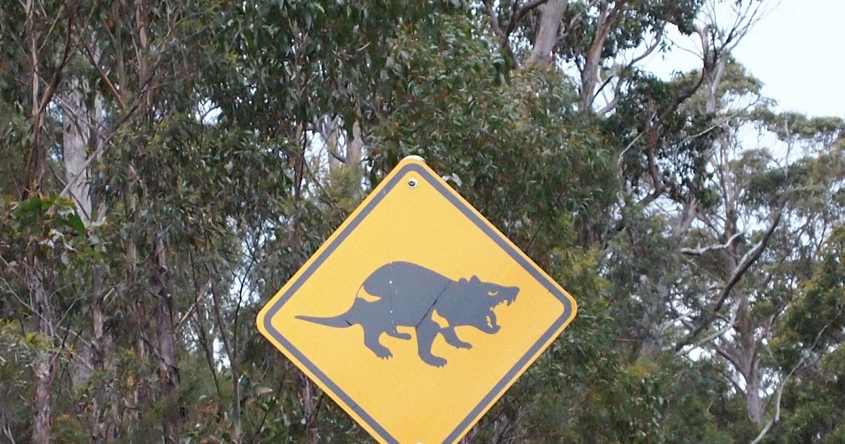 In an Opal Hearted Country Tasmania