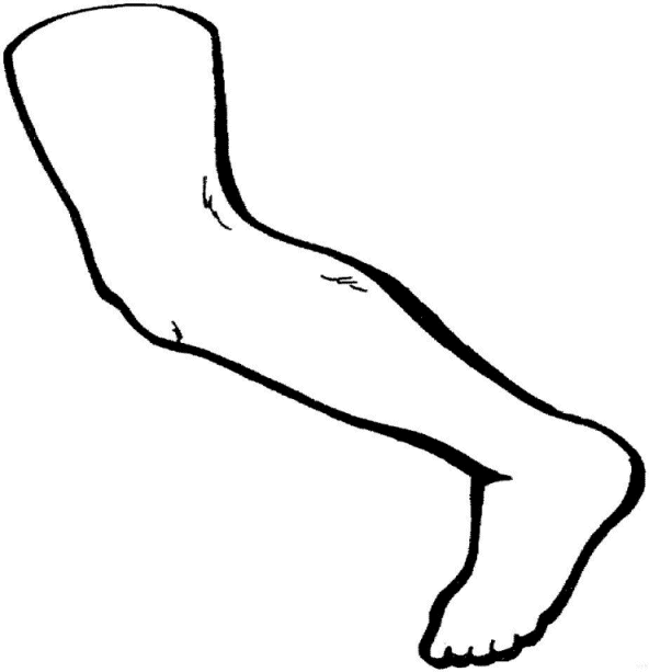 CIENCIAS NATURALES: Partes del cuerpo humano