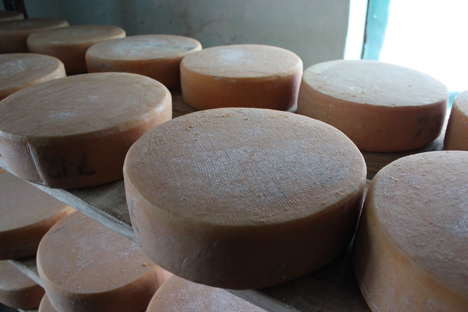 Simon and Judith with VSO, Nepal Help for Nepali cheese makers brings