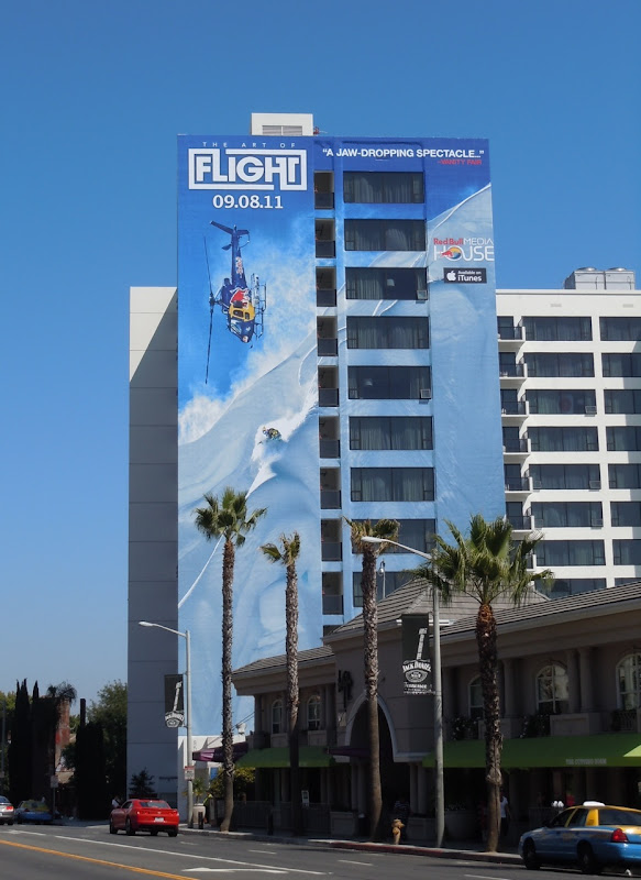 Art of Flight billboard