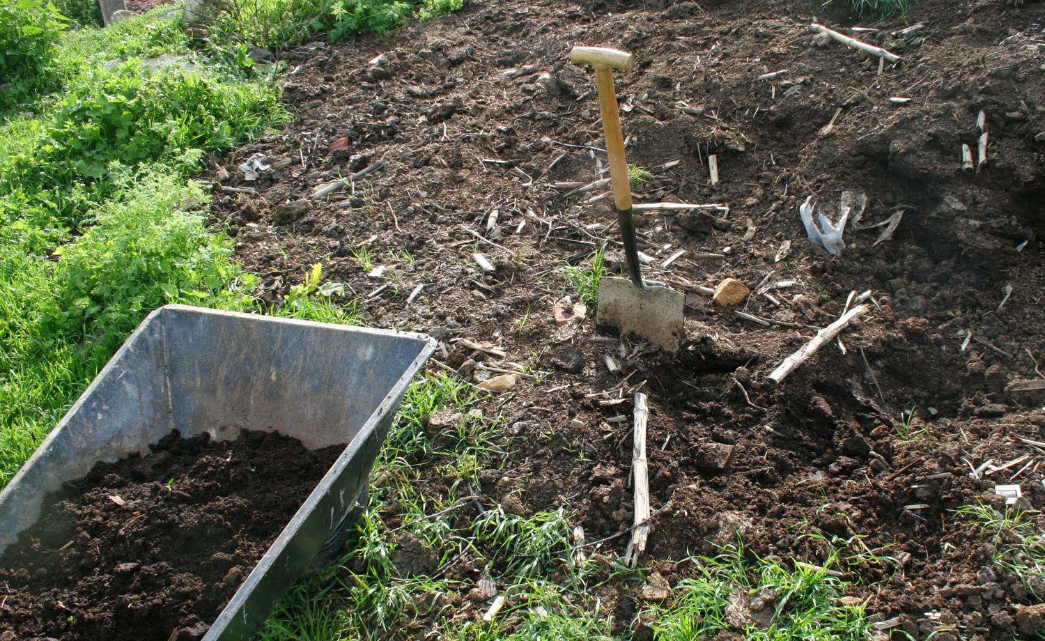 Getting well rotted down manure Getting well rotted down manure