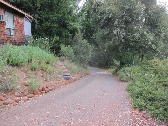 first views of august country mouse first views of august country mouse