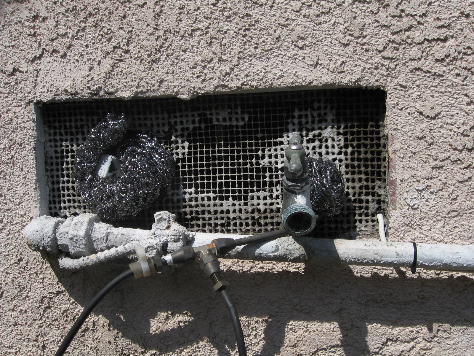 The Cranky Pumpkin Fun Trick To Keep Rats Away