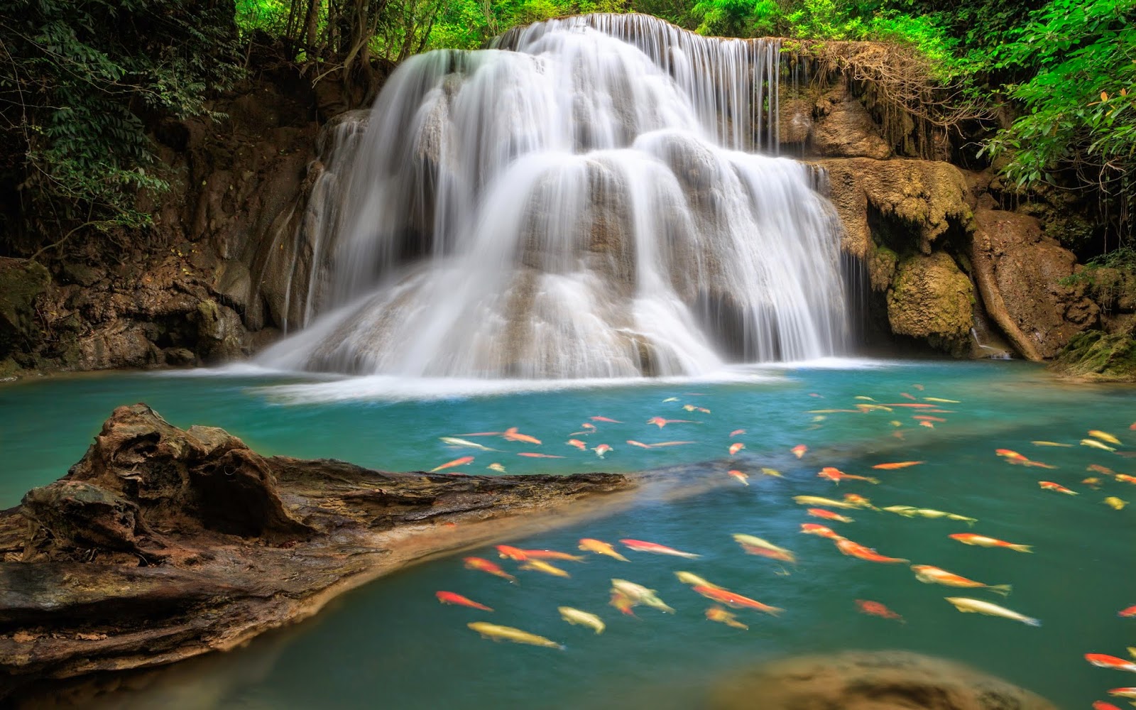 Hd Desktop Wallpapers Waterfall Wallpapers