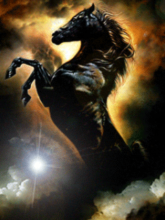 blackhorse_29lx62b1_1_.gif